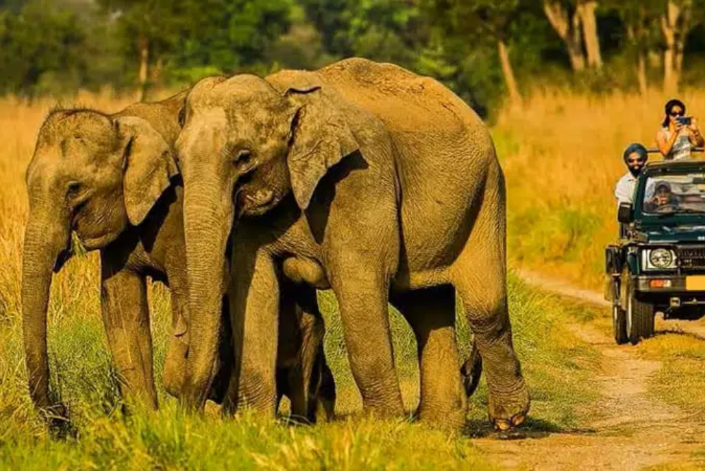 4 Days Corbett Nainital Adventure Package